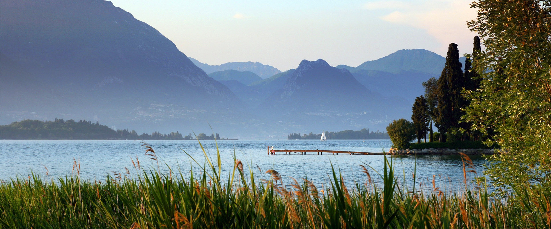 在线轰炸电话网页版免费测试