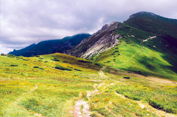 免费信息轰炸机